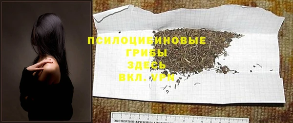СК Арсеньев
