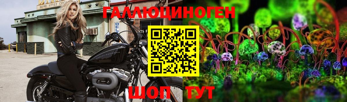 цена   Вход с VPN  Саки  Псилоцибиновые грибы MAGIC MUSHROOMS  Галлюциногенные грибы Cubensis 